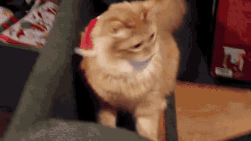 ec32cfebadf495b5d3c1914997eb686c_1474196565_0096.gif