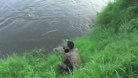 fad3cf5095b1967bc0bd5a932332d6aa_1473996769_5289.gif
