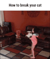 7f72ac33fe335c7cc909f877e3ef8e56_1476303108_8385.gif 7f72ac33fe335c7cc909f877e3ef8e56_1476303108_8385.gif