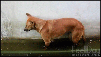 925a76441d832f7b75f1b73c65f02d58_1475297465_5458.gif 925a76441d832f7b75f1b73c65f02d58_1475297465_5458.gif