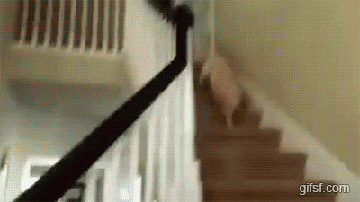 9c3336ebeb5b131dd0904ee1575082e8_1478750736_5549.gif 9c3336ebeb5b131dd0904ee1575082e8_1478750736_5549.gif