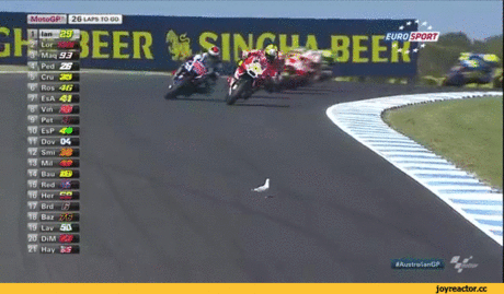 b34f7ddfa759187e2f8cdbf8b6a54ea1_1485188432_682.gif b34f7ddfa759187e2f8cdbf8b6a54ea1_1485188432_682.gif