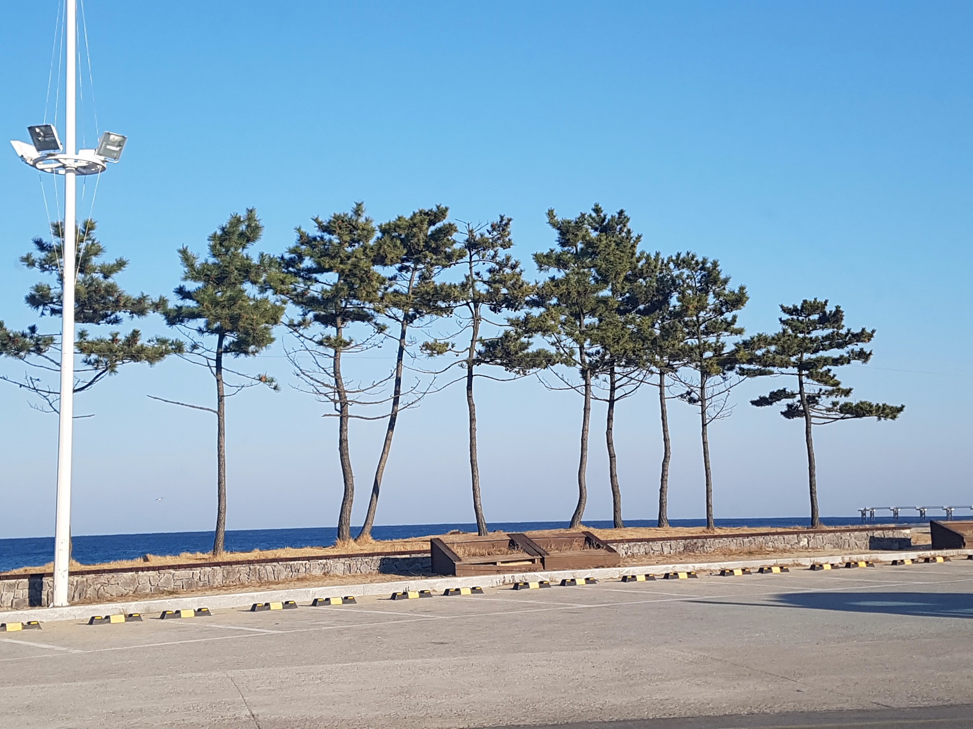 작업 끝내고 동네 앞바다에 마실왔어요 > 자유게시판 | 딜바다닷컴 딜바다::작업 끝내고 동네 앞바다에 마실왔어요 > 자유게시판