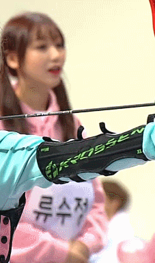 07b0cd456117444c84685bc91d4758d0_1486098971_9947.gif