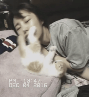 5252a59cdfad34df144f871c4e27384d_1487114243_5191.gif 5252a59cdfad34df144f871c4e27384d_1487114243_5191.gif