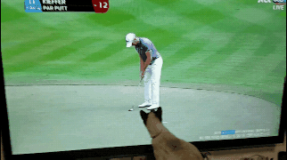 5b27dfe889fe9edd8761284431ddfbe8_1486013391_5018.gif 5b27dfe889fe9edd8761284431ddfbe8_1486013391_5018.gif