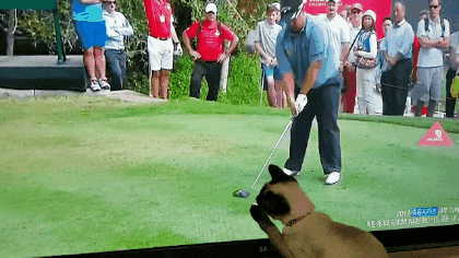 5b27dfe889fe9edd8761284431ddfbe8_1486013398_0662.gif 5b27dfe889fe9edd8761284431ddfbe8_1486013398_0662.gif