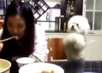 8161a27497d534e4dcbcb5583ffc841a_1490492260_7205.gif 8161a27497d534e4dcbcb5583ffc841a_1490492260_7205.gif