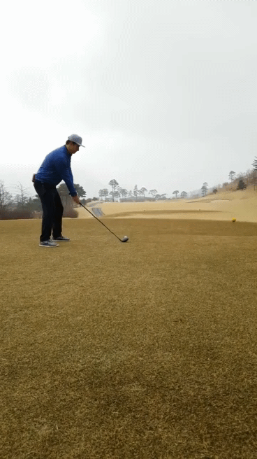 81f3168fbe66e7028dcba1cbbd3c55fd_1490665988_5329.gif 81f3168fbe66e7028dcba1cbbd3c55fd_1490665988_5329.gif