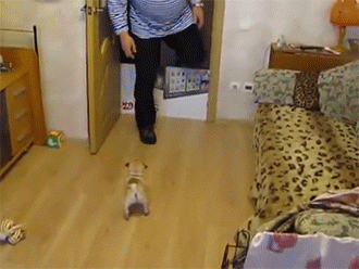 be38a3ed208848dcf988b12a5e528364_1489208535_0201.gif be38a3ed208848dcf988b12a5e528364_1489208535_0201.gif