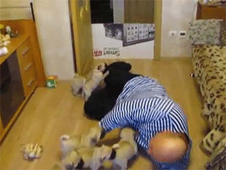 be38a3ed208848dcf988b12a5e528364_1489208535_6157.gif be38a3ed208848dcf988b12a5e528364_1489208535_6157.gif