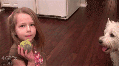 d0f82fd95c2cbf757380b8c473a76406_1490920989_1695.gif d0f82fd95c2cbf757380b8c473a76406_1490920989_1695.gif