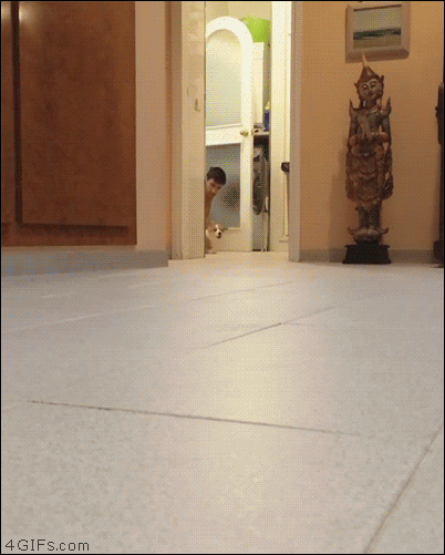 f6dac2e19c1daf65f1cc2690865defcf_1490779848_6047.gif
