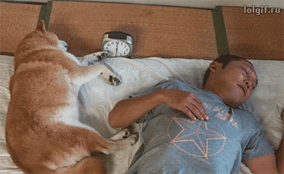 0d96d501357645342f8da5d08bae6a87_1491959400_344.gif