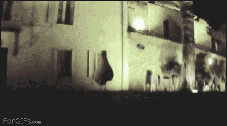 39713d082df6066a40433544484c9187_1491994172_9539.gif