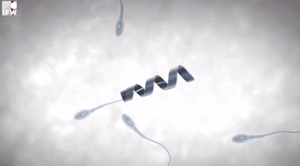 46fb389abb0382497f35961f3cd7df09_1493034417_3684.gif