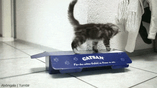 5d2fafbbcc6fc8a9c0c085bc833e18f8_1491980134_5653.gif