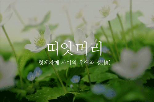 79aa860946ddf2699282cbe9278bddd0_1491870195_4301.gif