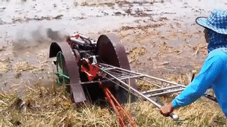 79aa860946ddf2699282cbe9278bddd0_1491874376_8781.gif