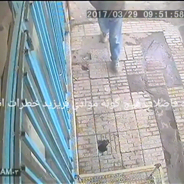 f55486272dd953de93df7f9a7730c05c_1491911767_6567.gif