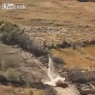 f6ae2f26d0267560677d8b00a643e943_1491881836_4027.gif