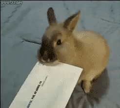 f8013c792345feb13ed30b2d813e4a60_1491896402_701.gif