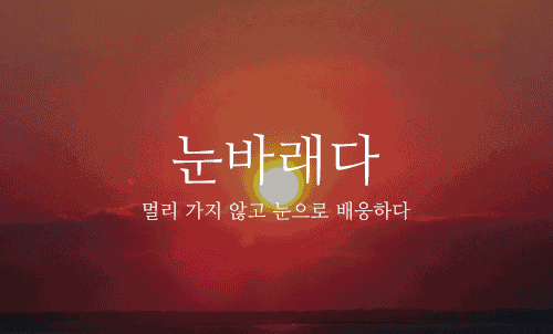 fd1a972927f16a6277ad8e1e62b71668_1491870193_7247.gif