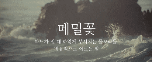fd1a972927f16a6277ad8e1e62b71668_1491870194_3834.gif