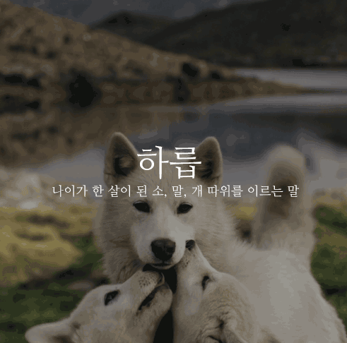 fd1a972927f16a6277ad8e1e62b71668_1491870203_4544.gif