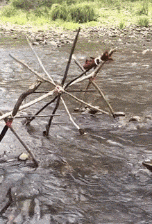 24270578b1cf9a211ad42f72f308b52e_1494143324_6622.gif 24270578b1cf9a211ad42f72f308b52e_1494143324_6622.gif