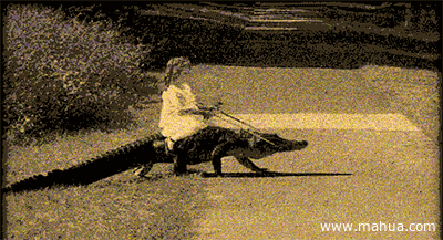 1bc92084312edef9470d1a8d3f59eea0_1498567234_3569.gif