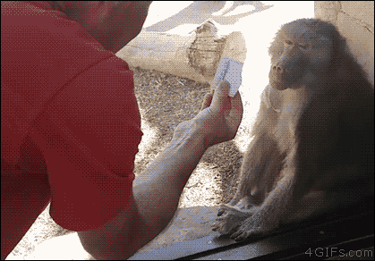 7de6a4a4035baad0d8caaddbdbc03771_1498642859_452.gif