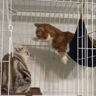 92c15705922d9ad53dc3fe5f54a17173_1497346352_5828.gif 92c15705922d9ad53dc3fe5f54a17173_1497346352_5828.gif