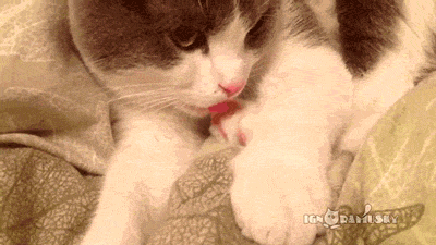 92c15705922d9ad53dc3fe5f54a17173_1497346354_4969.gif 92c15705922d9ad53dc3fe5f54a17173_1497346354_4969.gif