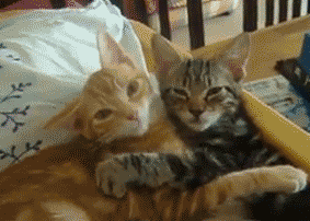 92c15705922d9ad53dc3fe5f54a17173_1497346359_2113.gif 92c15705922d9ad53dc3fe5f54a17173_1497346359_2113.gif