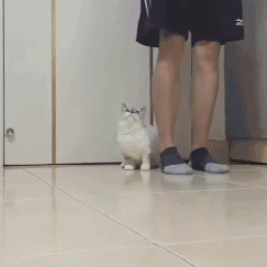 c1f6d1edbfb90ea81315e8a736dc16d4_1496365534_6922.gif c1f6d1edbfb90ea81315e8a736dc16d4_1496365534_6922.gif