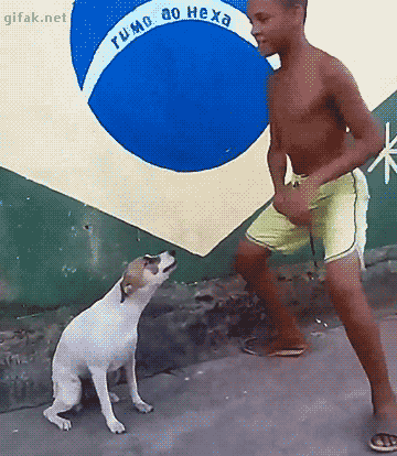 7695c11e5ac8da859c0db7c22b8cc406_1501838624_7184.gif