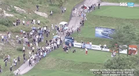 8eeb43b74700d8178a0517ff660af281_1503213715_5367.gif 8eeb43b74700d8178a0517ff660af281_1503213715_5367.gif