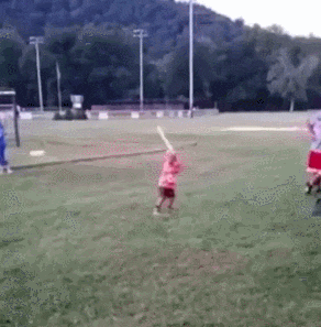 0188c3665a28ca0268c127a43d39dbac_1507771508_3246.gif