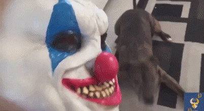 23e84498dc5519872fbf51ee16497bad_1508307052_8748.gif