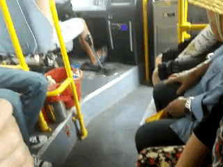 66f198a029e473abb99a03ab6c0c7c26_1507772856_1749.gif