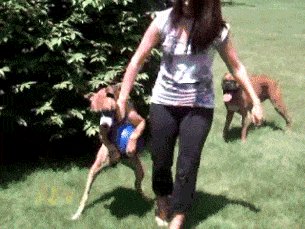 66f198a029e473abb99a03ab6c0c7c26_1507774179_6137.gif