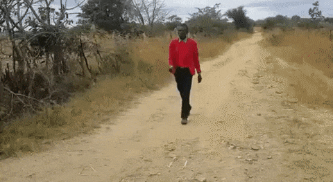 7cb6558302a459cb56a44b6af6dcd0b8_1507692038_1736.gif