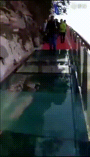 d3bc60afb2f9afeb8a64f9542dfabc2c_1507688024_6704.gif