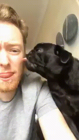 f7da42ed95c1ab3ade848464f8d0a105_1508554562_2275.gif