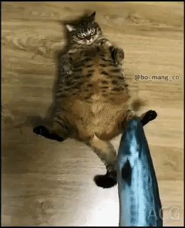 1d9f3002cd92da32d79f1163d060cddb_1510461506_2427.gif