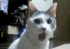 33337c443c046fcfce7b93a5aa71424e_1510146624_4469.gif