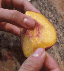 5ff7d507a8f3bb7127062de3e7498df1_1510469326_732.gif