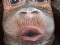 615e60f20d45dfc6f36c77fa6fb86cc5_1510635598_9417.gif