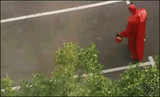 78e7bda3daecc8fb8e5cc298d2badad9_1510618746_0611.gif
